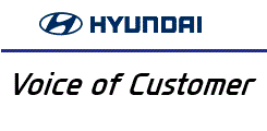 voice of customer